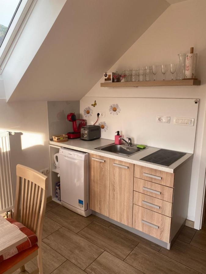 Apartment Marjetka 지로브니차 외부 사진